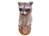 17-4